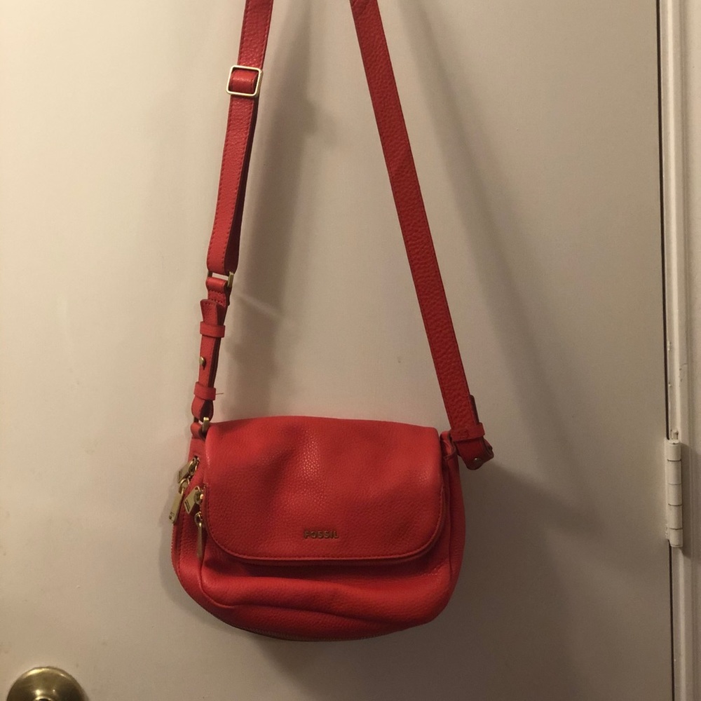 Fossil bag